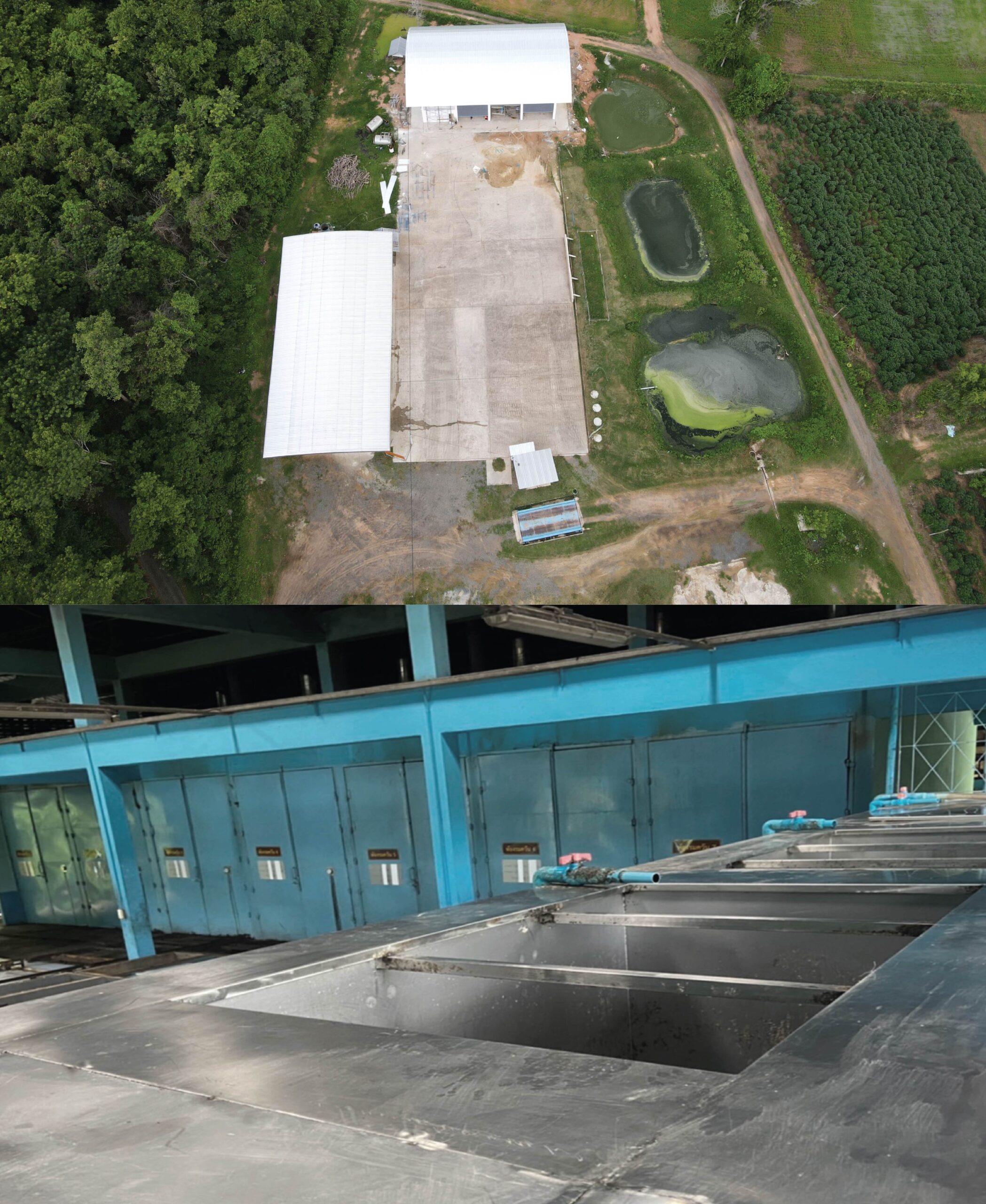 GMP for collection area and  rubber  manufactory